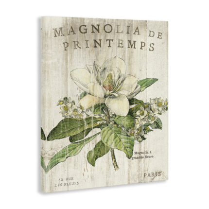 Hammes French Magnolias In Spring by Sue Schlabach – Graphic Art Print - Chic Decora