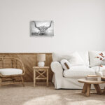 Highland Cow - Picture Frame Photograph Print on Canvas - Image 8