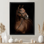 Horse Portrait - Animals Wall Art