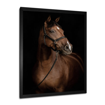 Horse Portrait – Animals Wall Art - Chic Decora