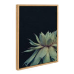 Jasera Succulent 8 by Emiko and Mark Franzen of F2Images Print on Canvas - Image 8