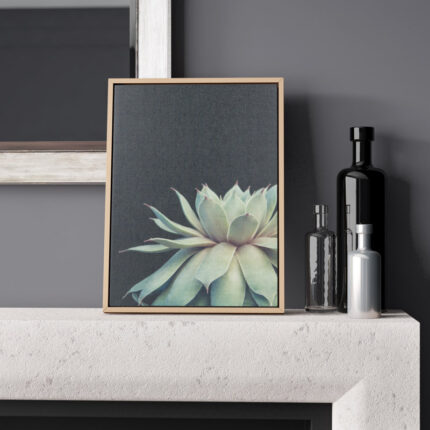 Jasera Succulent 8 by Emiko and Mark Franzen of F2Images Print on Canvas - Chic Decora