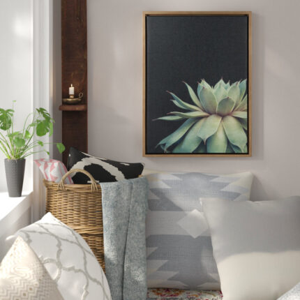Jasera Succulent 8 by Emiko and Mark Franzen of F2Images Print on Canvas - Chic Decora