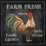 Jean " Farm Fresh Rooster " by Jean Plout