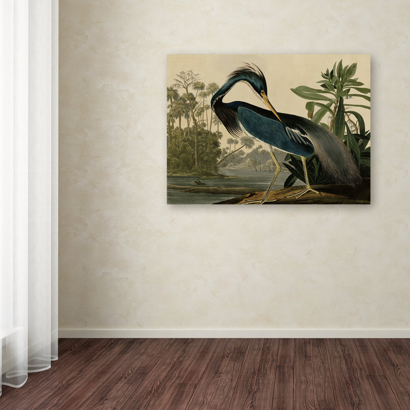 John James Audubon ‘Louisiana Heron’ Canvas Art - Chic Decora