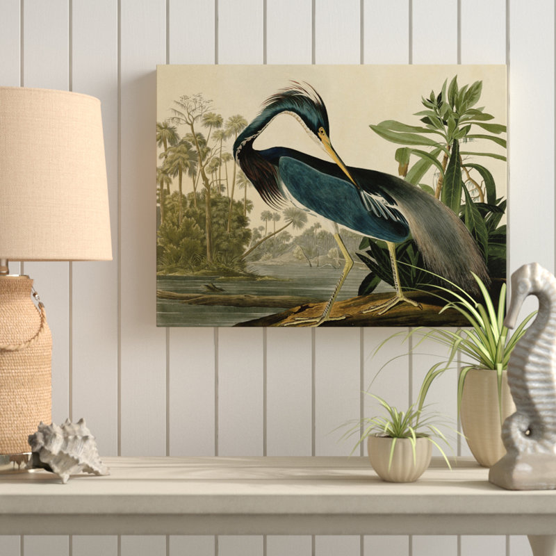 John James Audubon ‘Louisiana Heron’ Canvas Art - Chic Decora