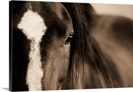 Kemani ” Dark Eyes ” by Lisa Dearing - Chic Decora