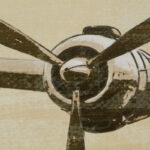 Kinzel Flight Time Triptych 3-piece Canvas Wall Art Set - Image 7