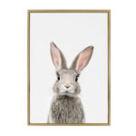 Kiranveer Female Baby Bunny Rabbit by Amy Peterson - Picture Frame Graphic Art Print - Image 6
