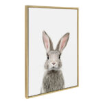 Kiranveer Female Baby Bunny Rabbit by Amy Peterson - Picture Frame Graphic Art Print - Image 7