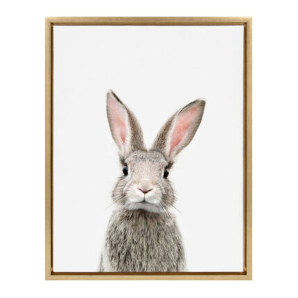 Kiranveer Female Baby Bunny Rabbit by Amy Peterson – Picture Frame Graphic Art Print - Chic Decora