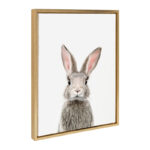 Kiranveer Female Baby Bunny Rabbit by Amy Peterson - Picture Frame Graphic Art Print - Image 2