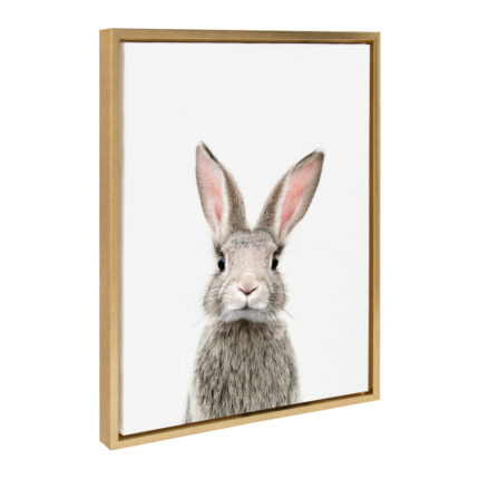 Kiranveer Female Baby Bunny Rabbit by Amy Peterson – Picture Frame Graphic Art Print - Chic Decora