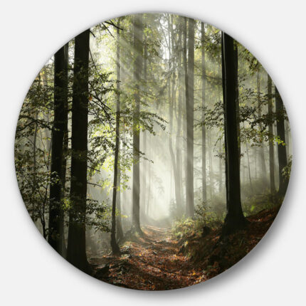 Light In Dense Fall Forest With Fog Artwork - Chic Decora