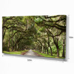 Live Oak Tunnel - Landscapes Framed Wall Art - Image 5
