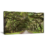 Live Oak Tunnel - Landscapes Framed Wall Art - Image 6