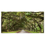 Live Oak Tunnel - Landscapes Framed Wall Art - Image 7