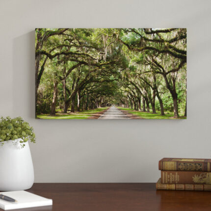 Live Oak Tunnel – Landscapes Framed Wall Art - Chic Decora