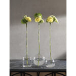 Mandujano Glass Floor Vase - Image 3