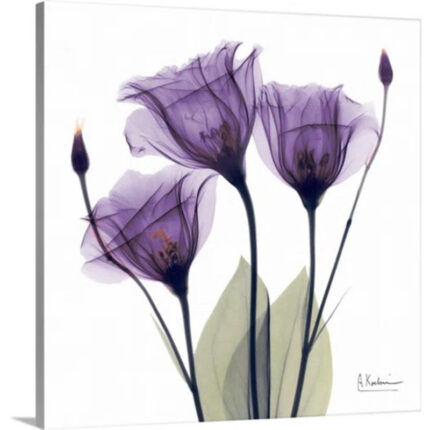 Manigault ‘Purple Flower Trio by Kiranjit Photographic Print - Chic Decora