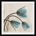 Manigault 'Tulip X-Ray by Kiranjit Photographic Print