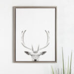 Melita Sylvie Deer with Antlers Black and White Portrait' Framed Photographic Print on Canvas
