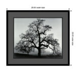 Oak Tree, Sunset City, California, 1962 by Ansel Adams - Picture Frame Graphic Art Print on Paper - Image 4