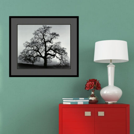 Oak Tree, Sunset City, California, 1962 by Ansel Adams – Picture Frame Graphic Art Print on Paper - Chic Decora