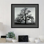 Oak Tree, Sunset City, California, 1962 by Ansel Adams - Picture Frame Graphic Art Print on Paper - Image 2