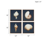 Ocean Seashells 4-piece Framed Canvas Wall Art Set - Image 4