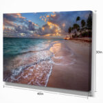 Palm Trees on Clear Sandy Beach - Photograph Print - Image 7