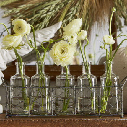 Patria 5 Glass Vase Bottles on a Rectangle Metal Holder with Handles - Chic Decora
