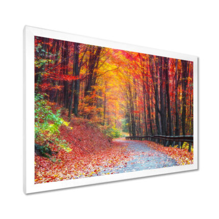 Road In Beautiful Autumn Forest – Photograph Print - Chic Decora