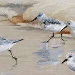 Sandpiper Beach I Amber by Studio Arts - 2 Piece Canvas Wall Art Print Set - Image 5