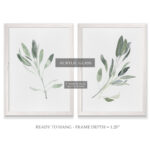 Simple Sage - 2 Piece Picture Frame Painting Print Set - Image 3