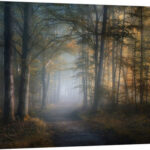 Straub Autumn Symphony by Norbert Maier - Photograph