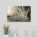 Straub Pearls by Maryam Zahirimehr - Photograph Print