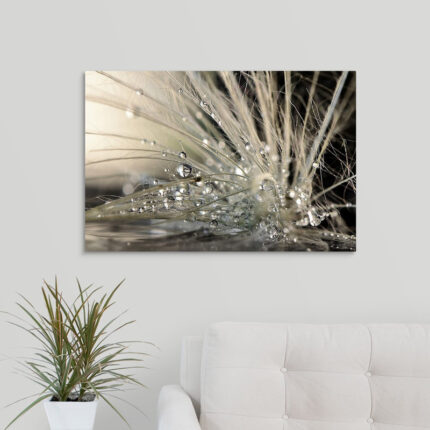 Straub Pearls by Maryam Zahirimehr – Photograph Print - Chic Decora