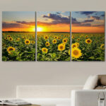Sunflower " Field Of Blooming Sunflowers At Sunset " 3 - Pieces