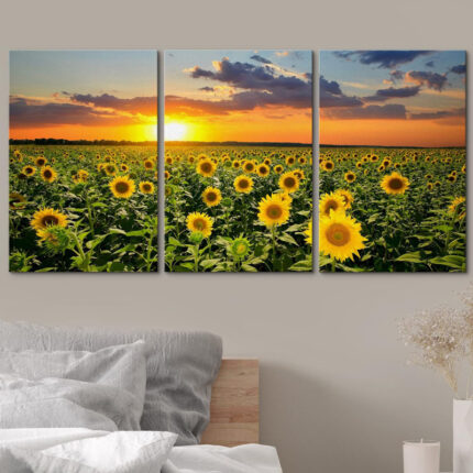 Sunflower ” Field Of Blooming Sunflowers At Sunset ” 3 – Pieces - Chic Decora