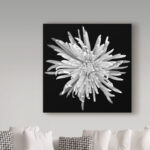 Susan S. Barmon " Chrysanthemum 1 Black And White " - Image 7