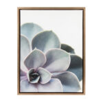 Sylvie " Sylvie Gold Succulent 5 " by Emiko And Mark Franzen Of F2Images - Image 7