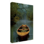 The Old Lake by Carlos Casamayor - Wrapped Canvas Print - Image 4