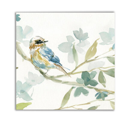 Traditional - Chic Decora