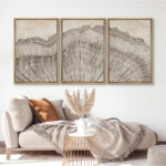 Tree Ring Rustic Oak Wood Farmhouse Decor Neutral Modern Organic Framed Canvas 3 Piece Print Art