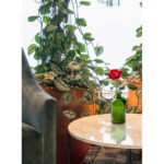 Veatch Glass Table Vase (Set of 6) - Image 3