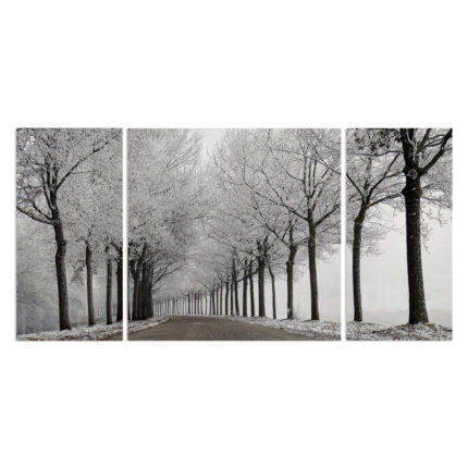 Winter Curve – Wrapped Canvas Multi-Piece Image Print - Chic Decora