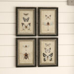 Wood Framed Insect Prints Wall Décor Portrait - Image 4