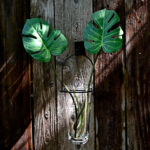 Glass Wall Vase - Image 8