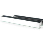 Axella Glass Table Vase - Image 5